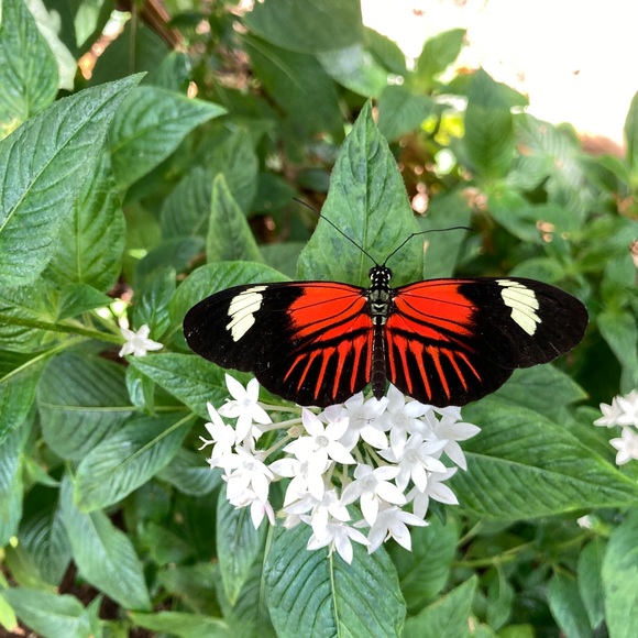 Meet your Posher, Jennifer - Picture 4 of 15